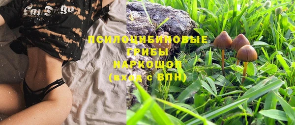 дмт Липки