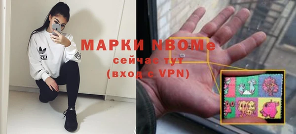молекула духа Лагань