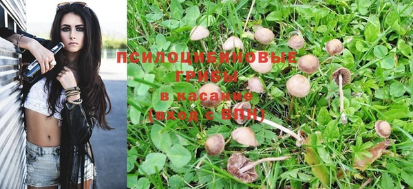 MDMA Premium VHQ Ладушкин
