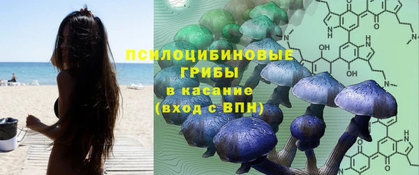 молекула духа Лагань