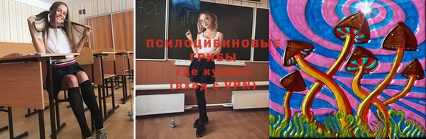 дмт Липки