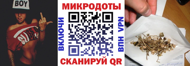 Галлюциногенные грибы мицелий  Жуков 